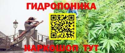 эйфоретик Малоярославец